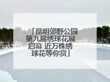 昆明郊野公园第九届绣球花展启幕 近万株绣球花等你赏