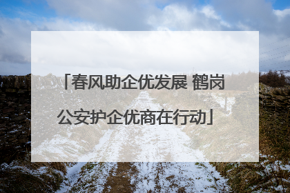 春风助企优发展 鹤岗公安护企优商在行动