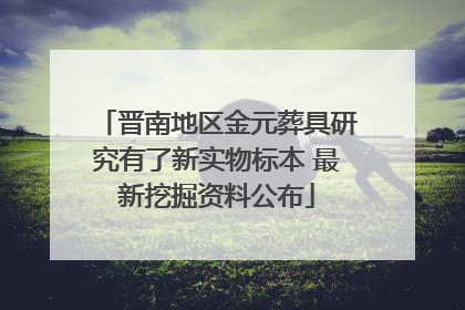 晋南地区金元葬具研究有了新实物标本 最新挖掘资料公布