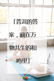 普洱的答案，藏在万物共生的和鸣里