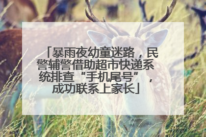 暴雨夜幼童迷路，民警辅警借助超市快递系统排查“手机尾号”，成功联系上家长
