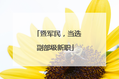 暨军民，当选副部级新职