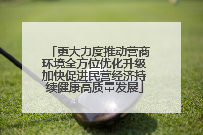 更大力度推动营商环境全方位优化升级加快促进民营经济持续健康高质量发展
