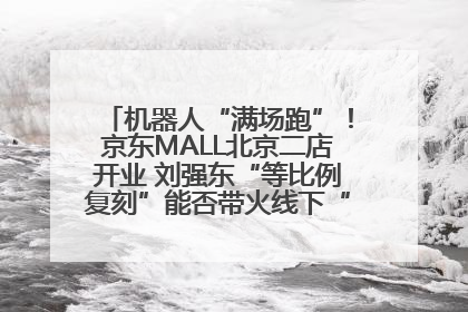 机器人“满场跑”！京东MALL北京二店开业 刘强东“等比例复刻”能否带火线下“618”？