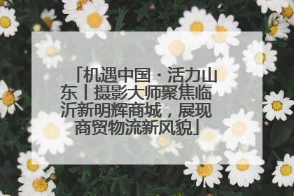 机遇中国・活力山东丨摄影大师聚焦临沂新明辉商城，展现商贸物流新风貌