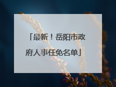 最新！岳阳市政府人事任免名单