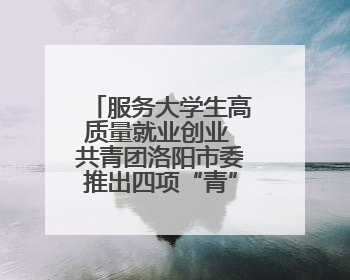 服务大学生高质量就业创业 共青团洛阳市委推出四项“青”心服务