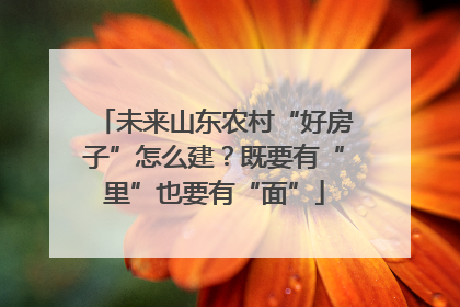 未来山东农村“好房子”怎么建？既要有“里”也要有“面”