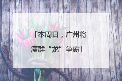 本周日，广州将演群“龙”争霸