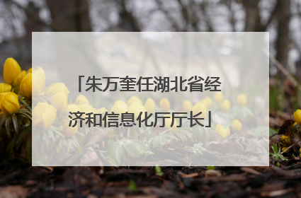 朱万奎任湖北省经济和信息化厅厅长
