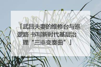 武昌夫妻的维修台与巡逻路 书写新时代基层治理“三重变奏曲”