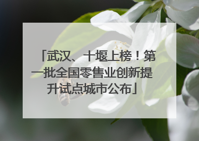 武汉、十堰上榜！第一批全国零售业创新提升试点城市公布