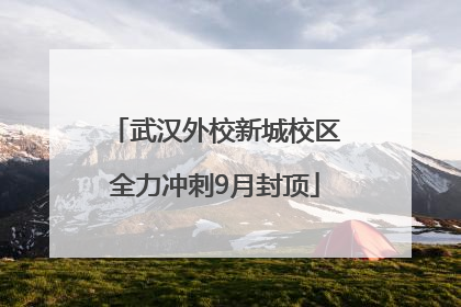 武汉外校新城校区全力冲刺9月封顶