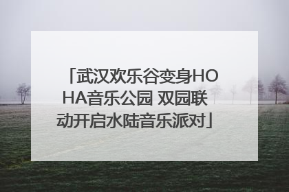 武汉欢乐谷变身HOHA音乐公园 双园联动开启水陆音乐派对