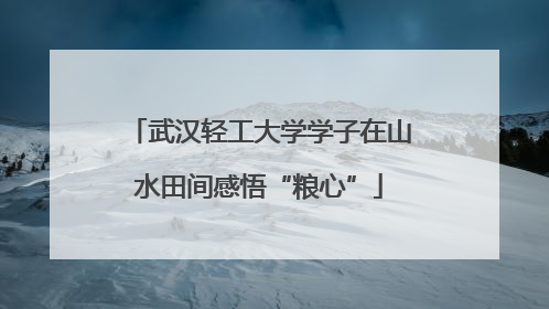 武汉轻工大学学子在山水田间感悟“粮心”