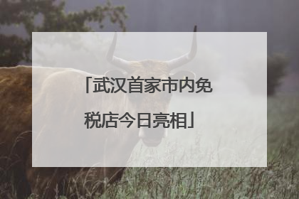武汉首家市内免税店今日亮相