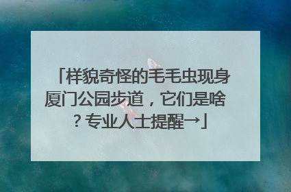 样貌奇怪的毛毛虫现身厦门公园步道，它们是啥？专业人士提醒→