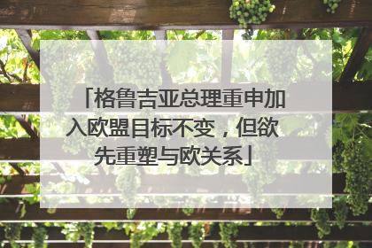 格鲁吉亚总理重申加入欧盟目标不变，但欲先重塑与欧关系