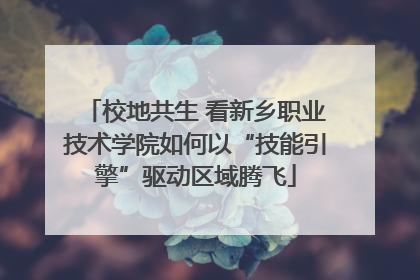 校地共生 看新乡职业技术学院如何以“技能引擎”驱动区域腾飞