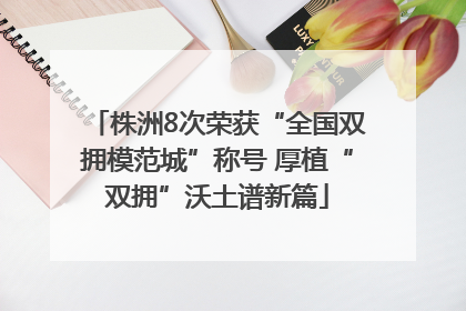 株洲8次荣获“全国双拥模范城”称号 厚植“双拥”沃土谱新篇
