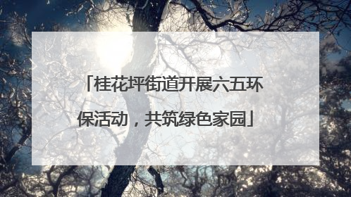 桂花坪街道开展六五环保活动，共筑绿色家园