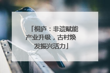 桐庐：非遗赋能产业升级，古村焕发振兴活力