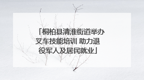 桐柏县清淮街道举办叉车技能培训 助力退役军人及居民就业