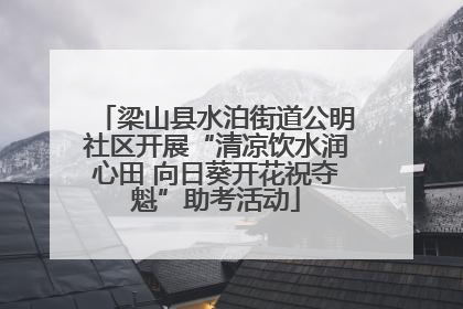 梁山县水泊街道公明社区开展“清凉饮水润心田 向日葵开花祝夺魁”助考活动