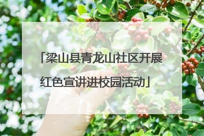 梁山县青龙山社区开展红色宣讲进校园活动