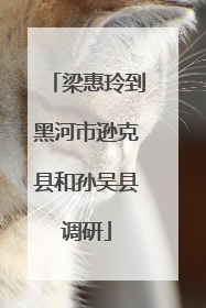 梁惠玲到黑河市逊克县和孙吴县调研