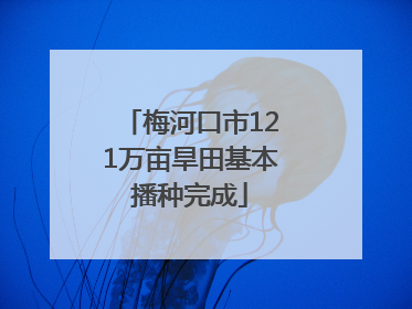梅河口市121万亩旱田基本播种完成