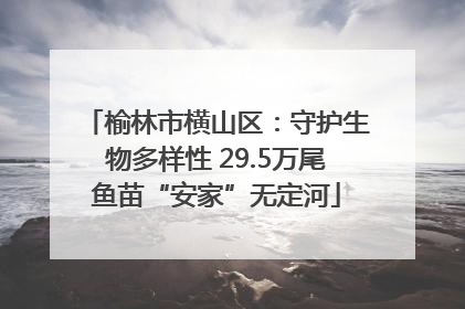 榆林市横山区：守护生物多样性 29.5万尾鱼苗“安家”无定河
