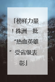 榜样力量！株洲一批“热血英雄”受省级表彰