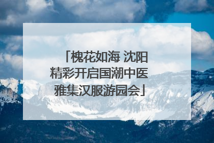 槐花如海 沈阳精彩开启国潮中医雅集汉服游园会