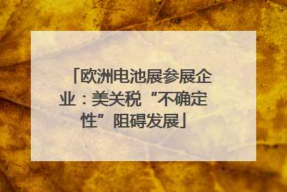 欧洲电池展参展企业：美关税“不确定性”阻碍发展