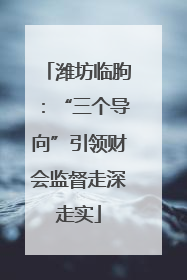 潍坊临朐：“三个导向”引领财会监督走深走实