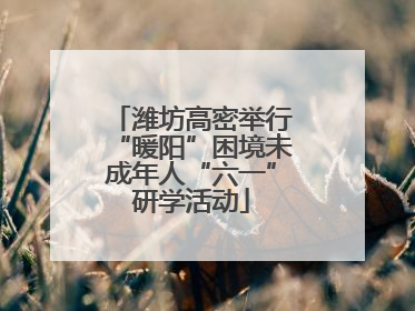潍坊高密举行“暖阳”困境未成年人“六一”研学活动
