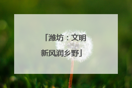潍坊：文明新风润乡野