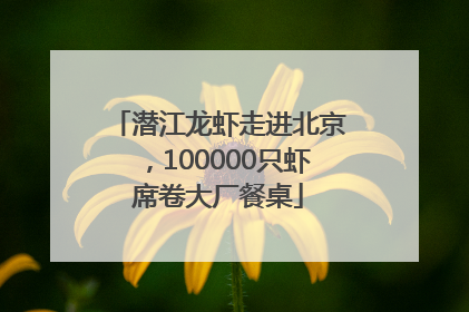 潜江龙虾走进北京，100000只虾席卷大厂餐桌