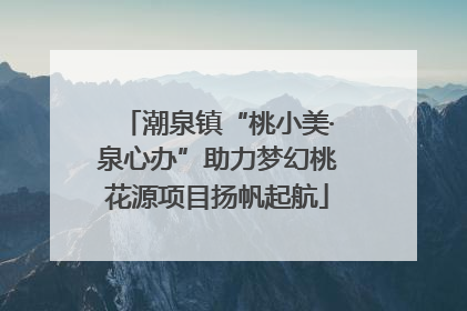 潮泉镇“桃小美·泉心办”助力梦幻桃花源项目扬帆起航