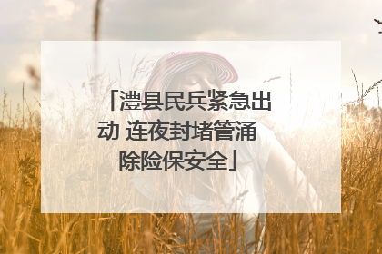 澧县民兵紧急出动 连夜封堵管涌除险保安全