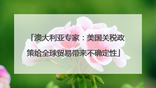 澳大利亚专家：美国关税政策给全球贸易带来不确定性