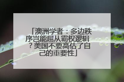 澳洲学者：多边秩序岂能屈从霸权逻辑？美国不要高估了自己的重要性