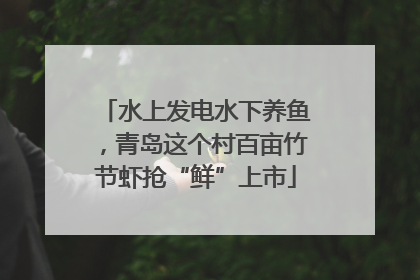 水上发电水下养鱼，青岛这个村百亩竹节虾抢“鲜”上市