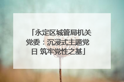 永定区城管局机关党委：沉浸式主题党日 筑牢党性之基