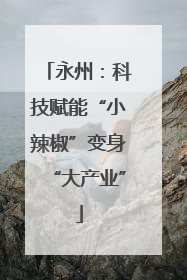 永州：科技赋能“小辣椒”变身“大产业”