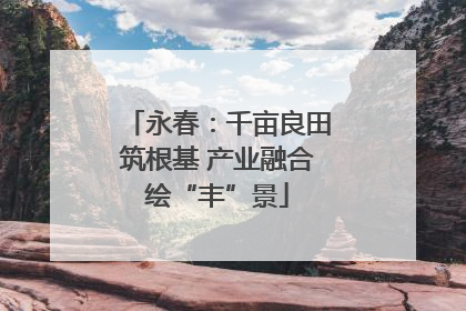 永春：千亩良田筑根基 产业融合绘“丰”景