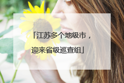 江苏多个地级市，迎来省级巡查组