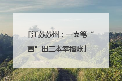 江苏苏州：一支笔“画”出三本幸福账