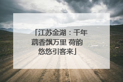 江苏金湖：千年藕香飘万里 荷韵悠悠引客来